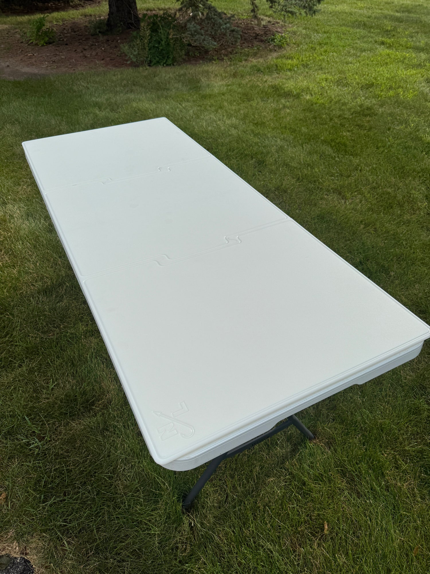 6ft x30