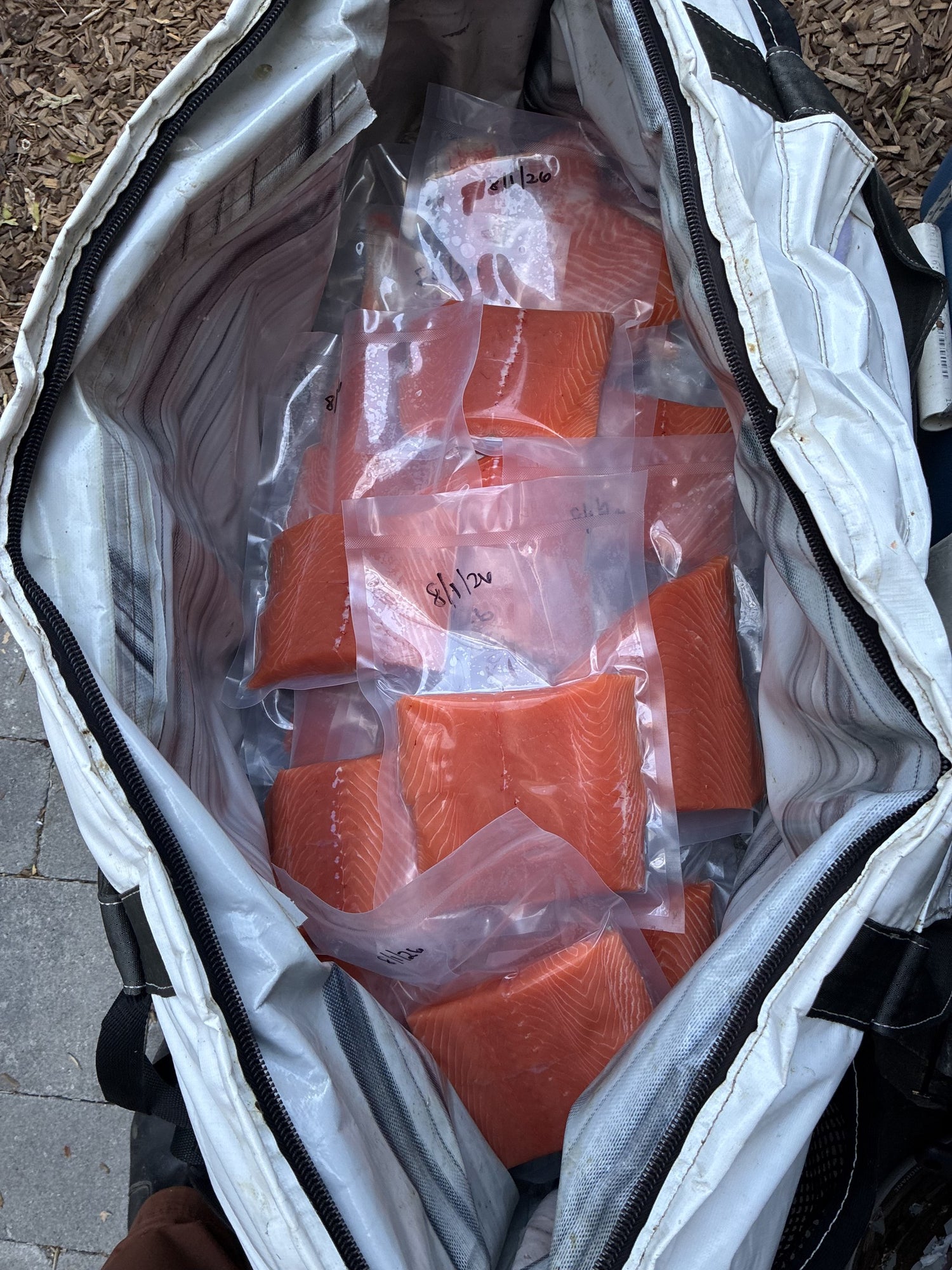 Cooler bag full of vacuum-packed salmon portions dated 8/11/26