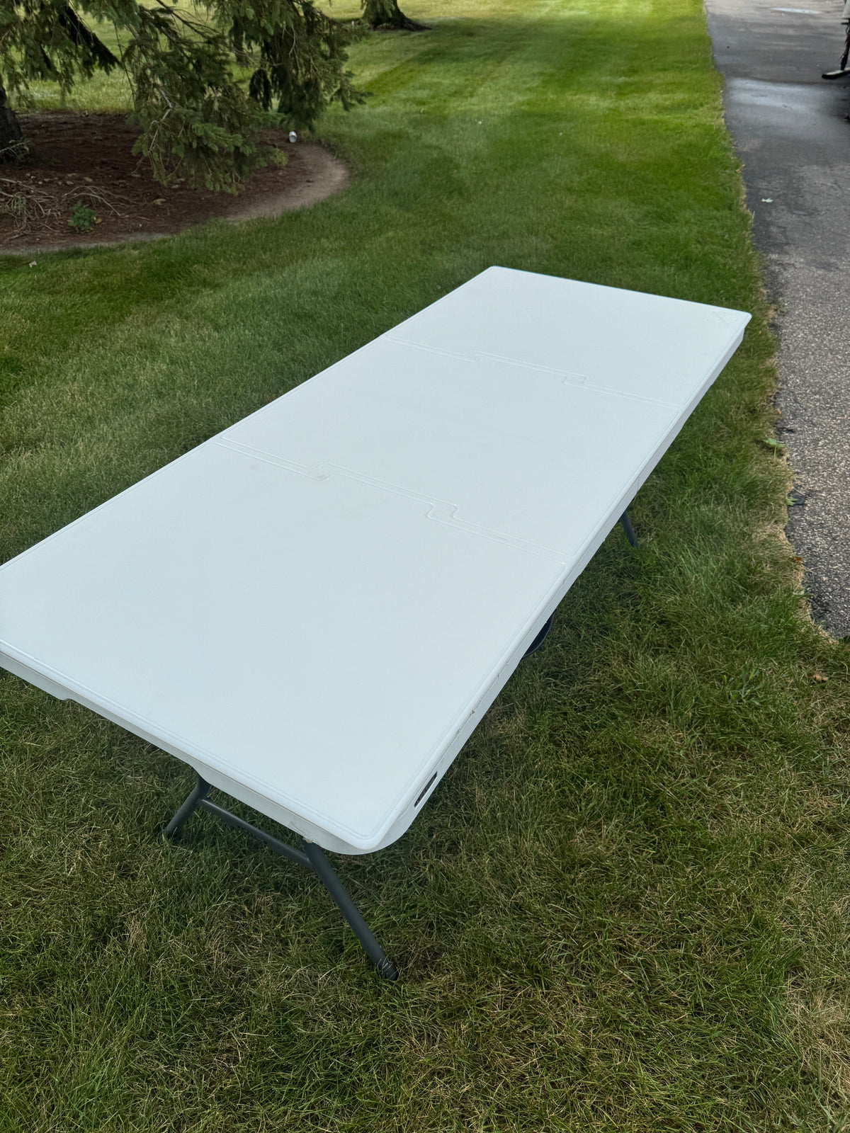 6ft x30